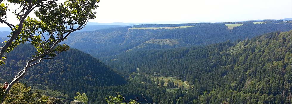 Ausblick auf die Harzer Wälder