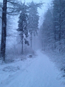 Heute Nacht hat es richtig geschneit im Harz